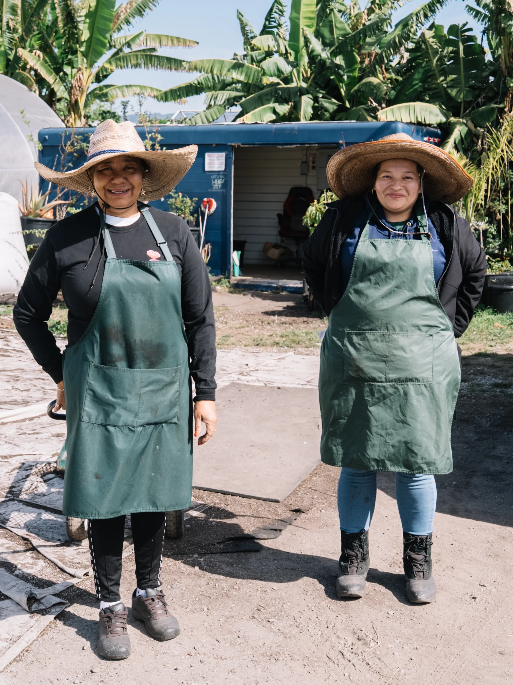 Two people wearing green aprons and wide-brimmed hats stand beside a blue nursery shed.