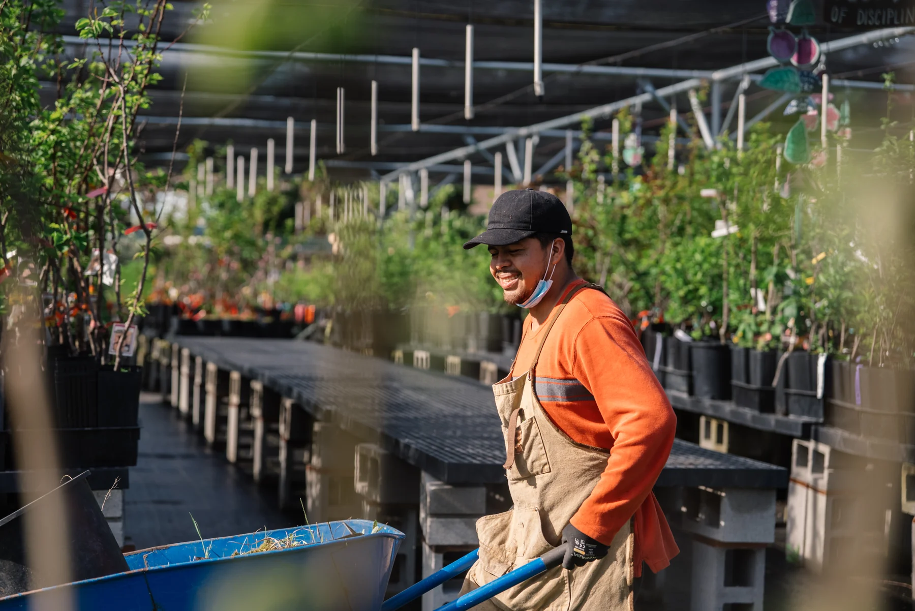 A smiling person in an orange shirt stands with a blue wheelbarrow between rows of plants at Planting Justice.